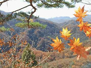 洞庭湖采砂最新動(dòng)態(tài)，管理與生態(tài)平衡的雙挑戰(zhàn)